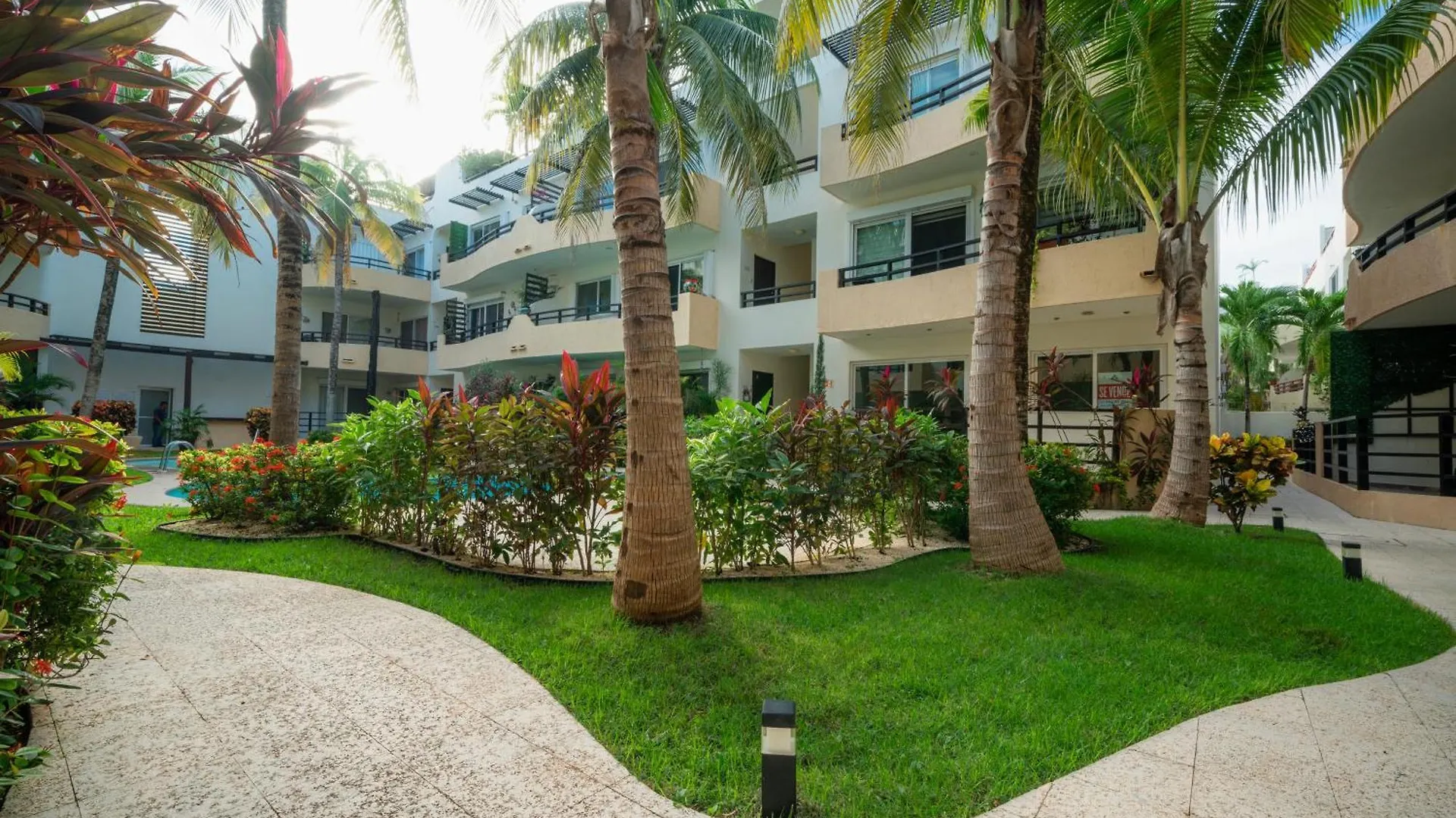 Peregrina - 3 Bedroom Condo In Center Of Playa Del Carmen